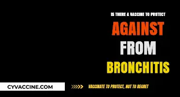 Bronchitis Vaccine: Fact or Fiction? Exploring Prevention Options