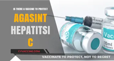 Hepatitis C Vaccine: Current Status and Future Prospects Explained