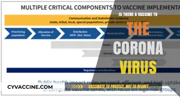 COVID-19 Vaccines: Availability, Effectiveness, and Global Distribution Explained