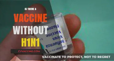 Exploring Vaccine Options: H1N1-Free Alternatives Available?