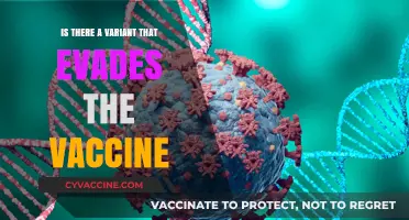 Can New COVID-19 Variants Evade Vaccine Protection?
