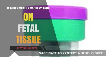 Varicella Vaccine Options: Exploring Alternatives to Fetal Tissue-Based Formulas
