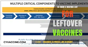 Leftover Vaccines: Are Waiting Lists the Solution for Efficient Distribution?