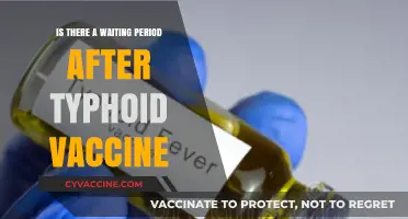 Typhoid Vaccine: Understanding the Post-Vaccination Waiting Period