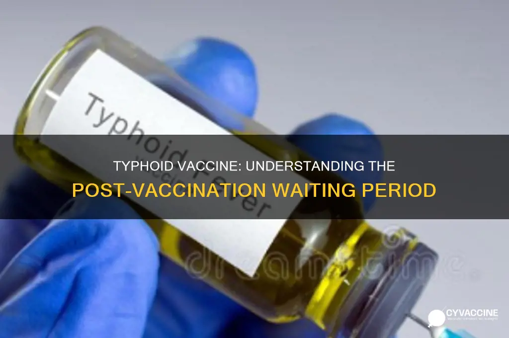 is there a waiting period after typhoid vaccine
