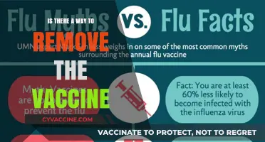 Can Vaccines Be Reversed? Exploring Myths and Medical Realities