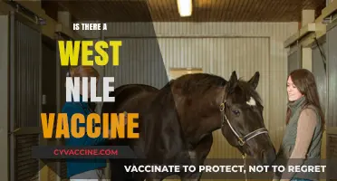 Is There a West Nile Vaccine? Exploring Prevention and Protection