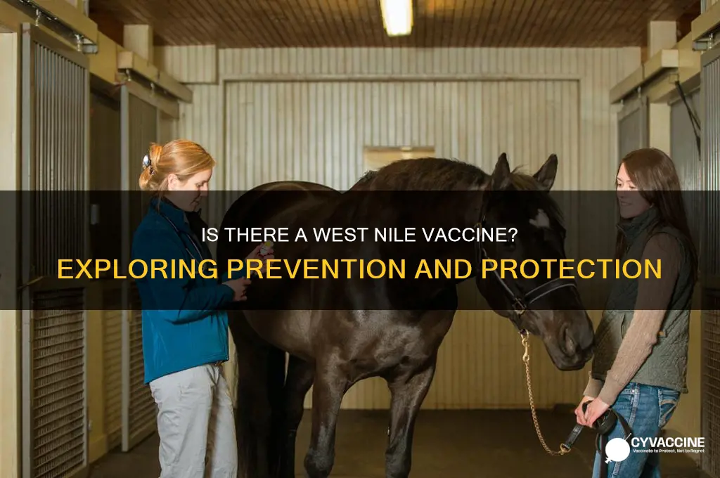 is there a west nile vaccine