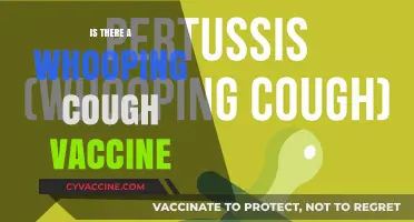 Whooping Cough Vaccine: Availability, Effectiveness, and Importance Explained