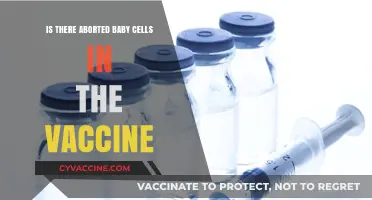 Vaccines and Fetal Cells: Separating Fact from Fiction in Immunization