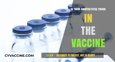 Debunking Myths: Fetal Tissue in Vaccines Explained