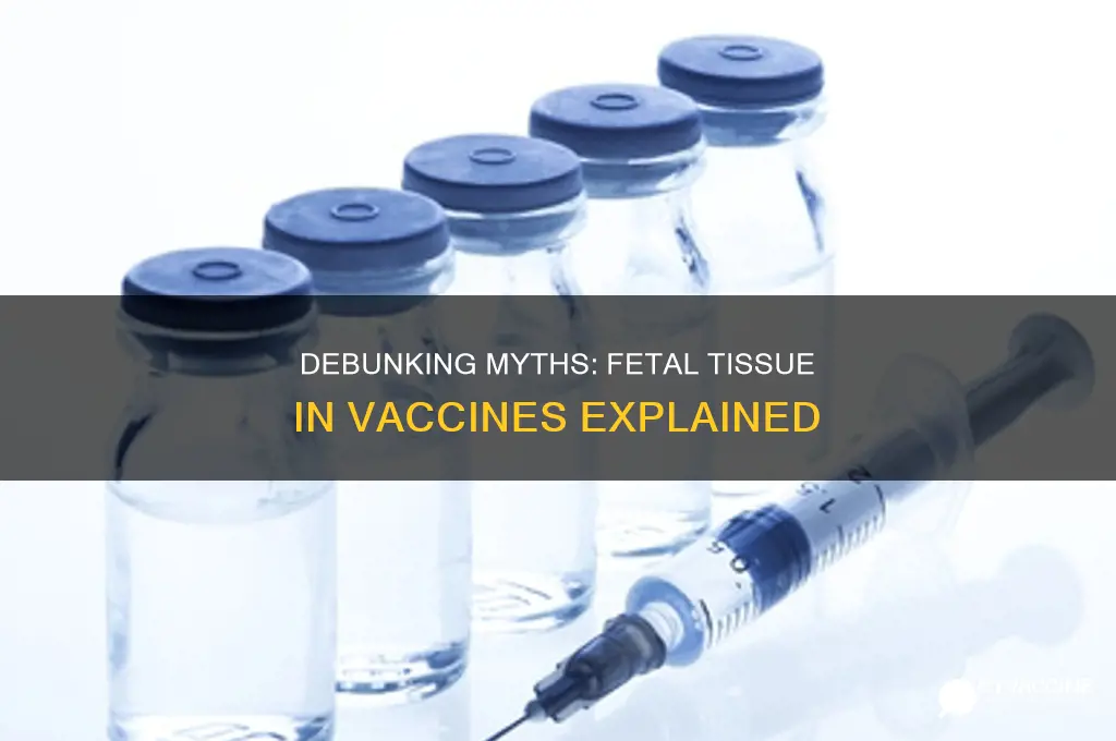 is there aborted fetal tissue in the vaccine