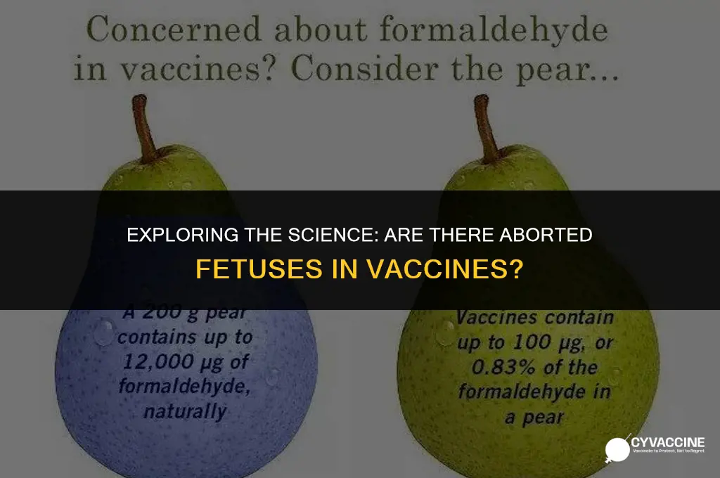 is there aborted fetuses in vaccines