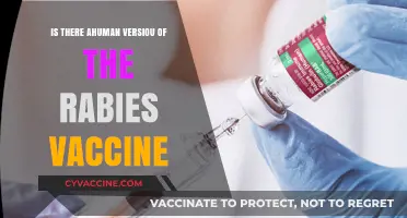 Human Rabies Vaccine: Protection, Availability, and Essential Facts Explained