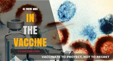 Exploring the Facts: AIDS and Vaccine Safety