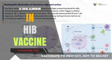 Unveiling the Truth: Aluminum Content in Hib Vaccines Explained