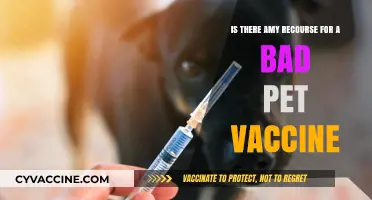 Bad Pet Vaccine Reactions: Legal Recourse and Owner Rights Explained