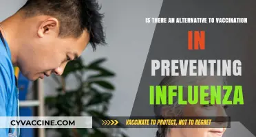 Exploring Non-Vaccine Options for Influenza Prevention: Are They Effective?
