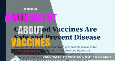 Exploring the Facts: Vaccine Amendments and Public Health Policies