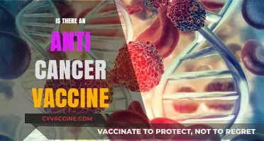 Exploring the Latest Advances in Anti-Cancer Vaccination Research