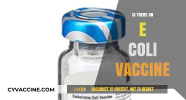 Exploring the Availability and Efficacy of E. Coli Vaccines