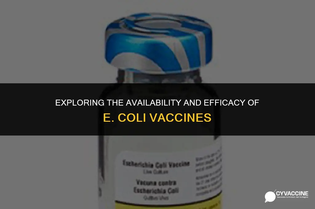 is there an e coli vaccine