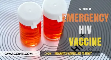 Exploring the Quest for an Emergency HIV Vaccine: Hope and Challenges