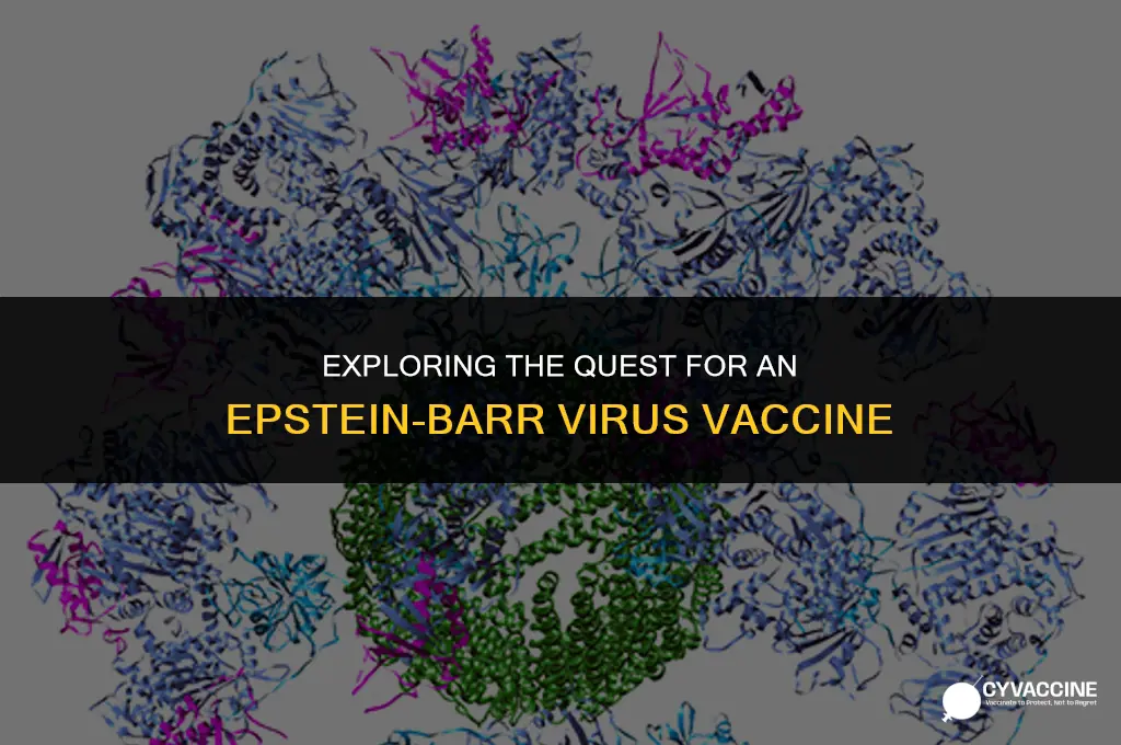 is there an epstein barr vaccine