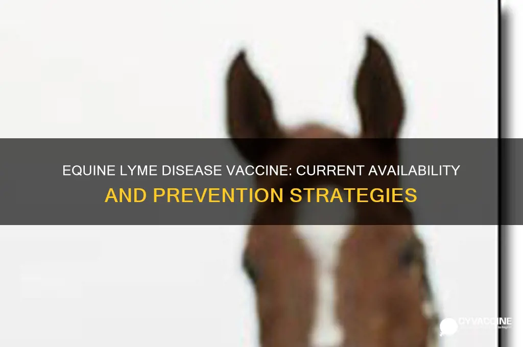is there an equine vaccine for lyme disease