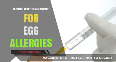 Egg Allergies and Flu Shots: Safe Vaccination Options Explained