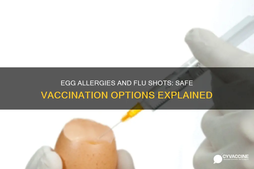 is there an influenza vaccine for egg allergies