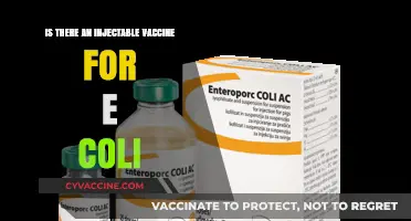 Injectable E. Coli Vaccine: Current Research and Potential Developments