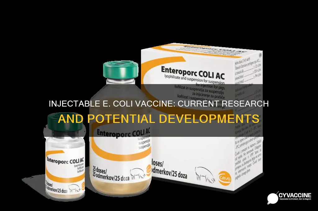 is there an injectable vaccine for e coli