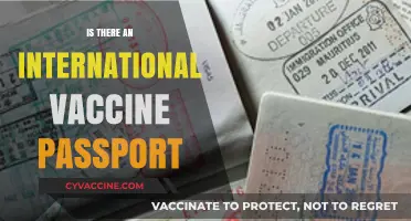 Global Vaccine Passport: Myth or Reality?