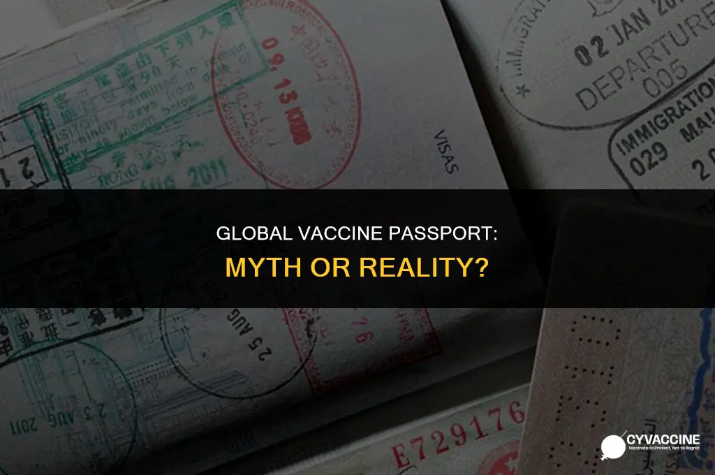 is there an international vaccine passport