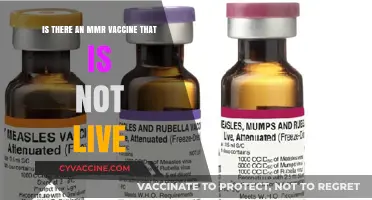 Non-Live MMR Vaccine Options: What You Need to Know