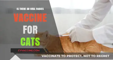 Oral Rabies Vaccine for Cats: Availability, Safety, and Effectiveness Explained
