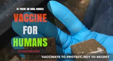Oral Rabies Vaccine for Humans: Availability, Safety, and Effectiveness Explained