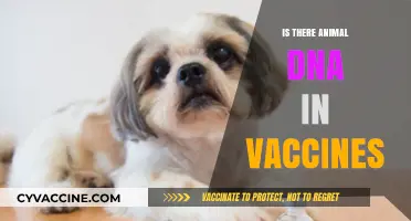Unraveling the Myth: Animal DNA in Vaccines - A Scientific Perspective