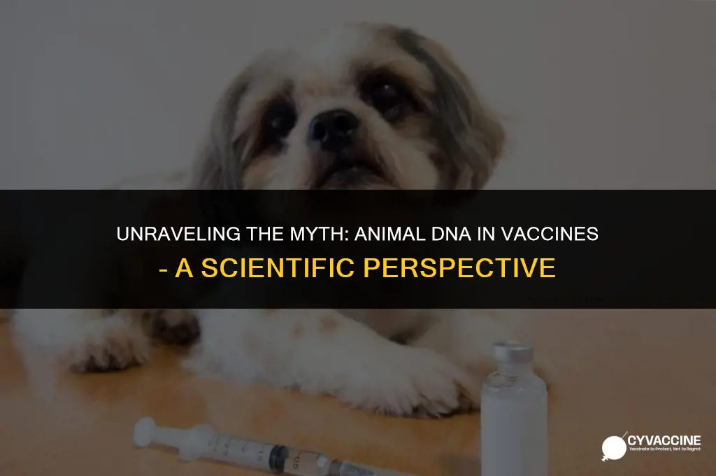 is there animal dna in vaccines