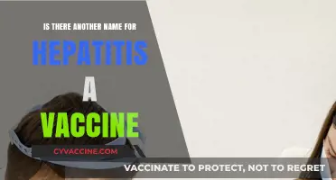 Hepatitis A Vaccine: Alternative Names and Common Terminology Explained
