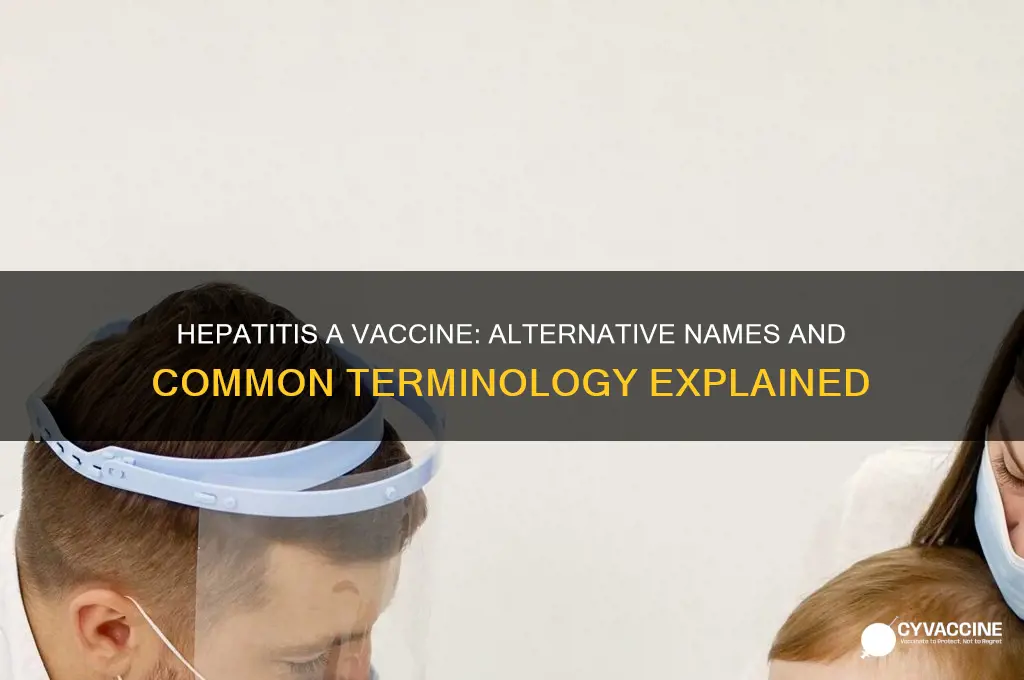 is there another name for hepatitis a vaccine