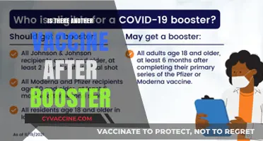 Exploring the Possibility of Additional Vaccines Post-Booster