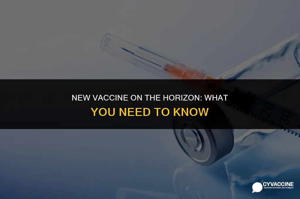 is there another vaccine coming out