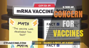 Vaccine Concerns: Separating Facts from Fiction for Public Health