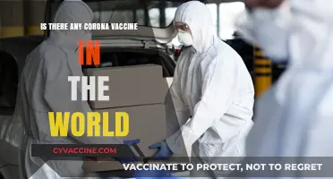 Global COVID-19 Vaccines: Availability, Effectiveness, and Worldwide Distribution