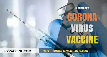 Exploring the Latest Developments in COVID-19 Vaccination Efforts