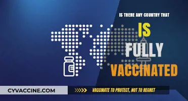 Fully Vaccinated Nations: Which Countries Have Achieved 100% COVID-19 Immunization?