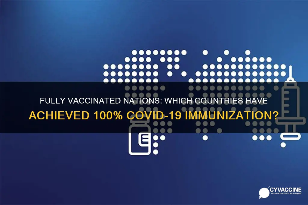 is there any country that is fully vaccinated