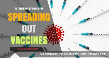 Vaccine Spacing: Examining Evidence for Delayed Immunization Schedules